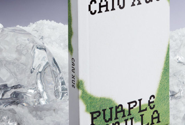 Can Xue new Book PURPLE PERILLA edited by Isolarii